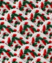 espiguilla blanco rojo y verde.webp