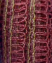 tira lurex coral.webp