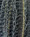 tira lurex fris3.webp