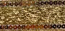 IMG_8059.webp