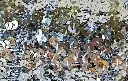 lentejuelas3.webp