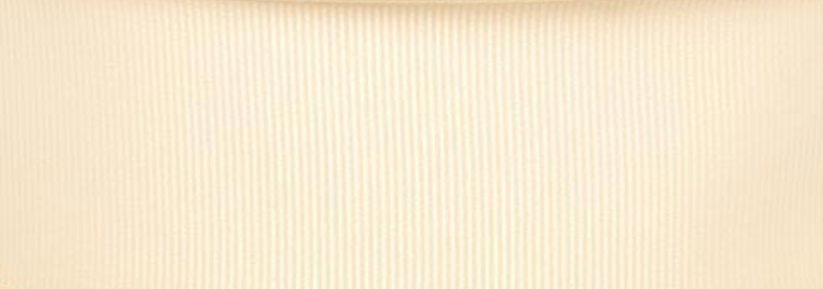  Listón Popotillo - Ivory