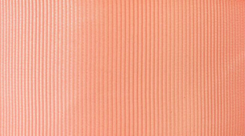  Listón Popotillo - Durazno