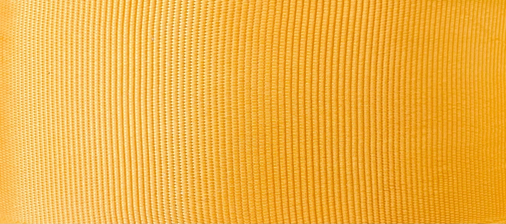  Listón Popotillo - Amarillo Curry