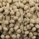 Tira Pom Pom - Beige