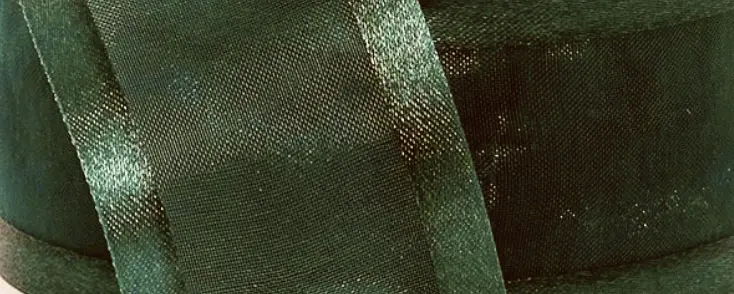 Organza Filo Satin - Hunter