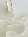 Listón Ondulado Floral - Blanco