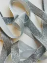 Listón de Terciopelo Escarchado - Plata