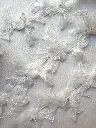 Encaje Bordado de Flores con Cristales
