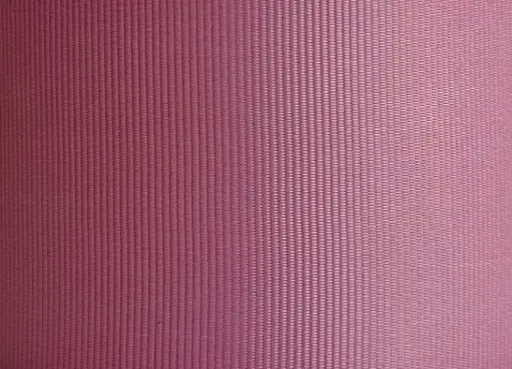  Listón Popotillo - Rosa Palo