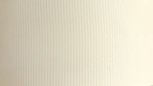  Listón Popotillo - Antique White