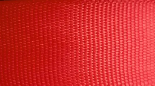 [3677] Popotillo - Coral