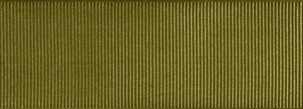  Listón Popotillo - Verde Olivo