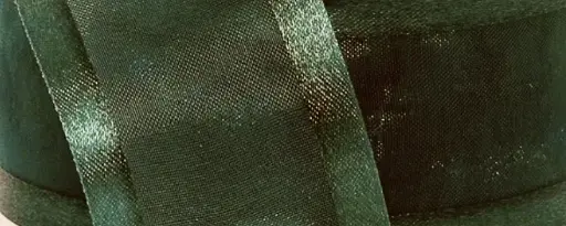 [5020] Organza Filo Satin - Hunter